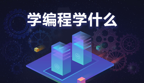 學編程學什么?