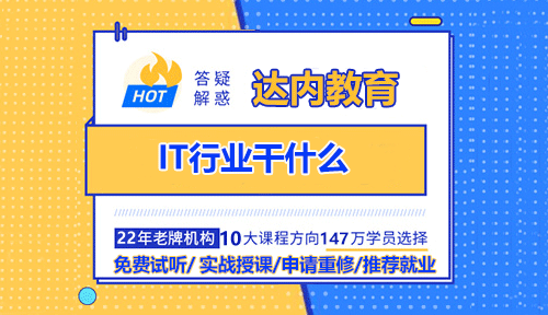 IT行業(yè)干什么？