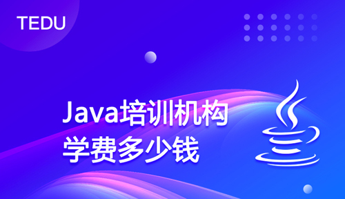 成人編程班大概多少錢？
